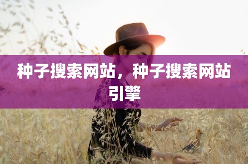 种子搜索网站，种子搜索网站引擎