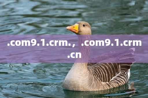 .com9.1.crm.，.com9.1.crm.cn