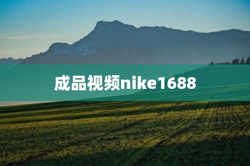 成品视频nike1688