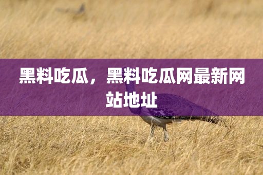 黑料吃瓜，黑料吃瓜网最新网站地址