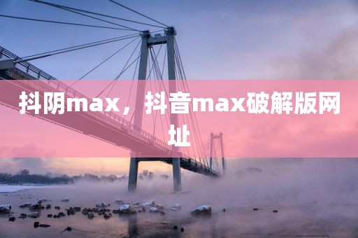 抖阴max，抖音max破解版网址