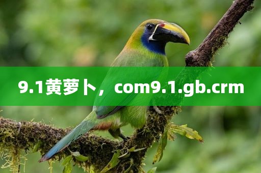 9.1黄萝卜，com9.1.gb.crm