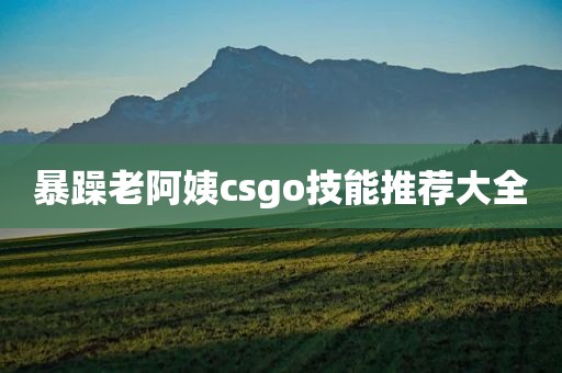 暴躁老阿姨csgo技能推荐大全