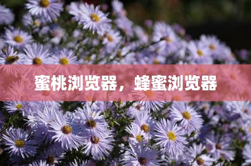 蜜桃浏览器，蜂蜜浏览器