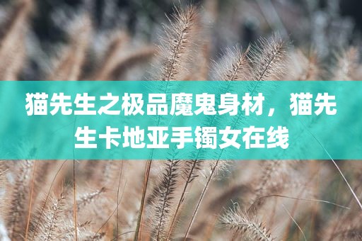 猫先生之极品魔鬼身材，猫先生卡地亚手镯女在线