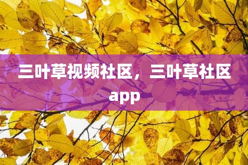 三叶草视频社区，三叶草社区app