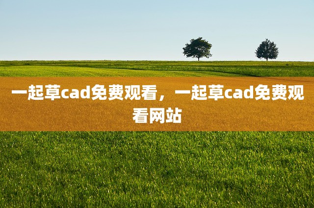 一起草cad免费观看，一起草cad免费观看网站