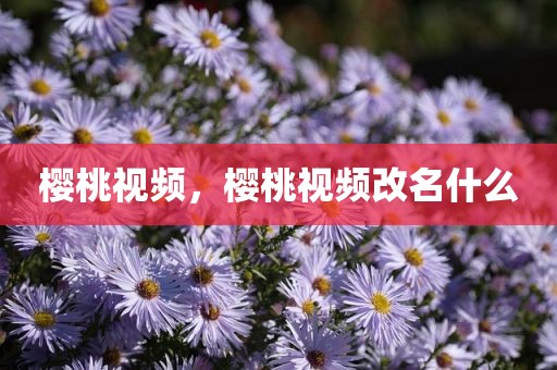 樱桃视频，樱桃视频改名什么