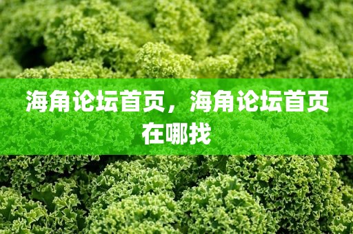 海角论坛首页，海角论坛首页在哪找