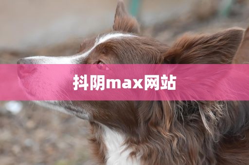 抖阴max网站