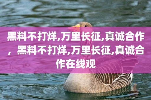 黑料不打烊,万里长征,真诚合作，黑料不打烊,万里长征,真诚合作在线观