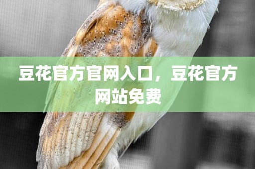 豆花官方官网入口，豆花官方网站免费