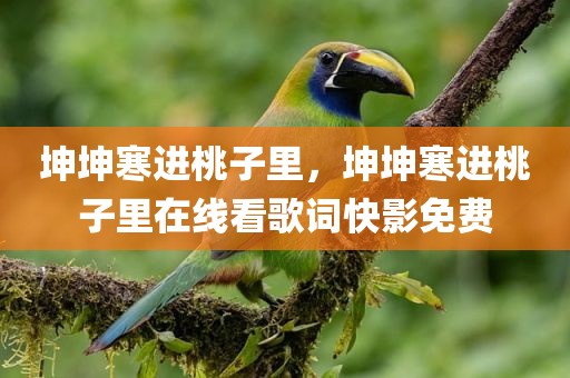 坤坤寒进桃子里，坤坤寒进桃子里在线看歌词快影免费