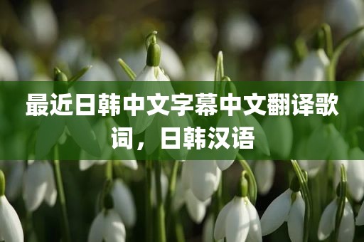 最近日韩中文字幕中文翻译歌词，日韩汉语