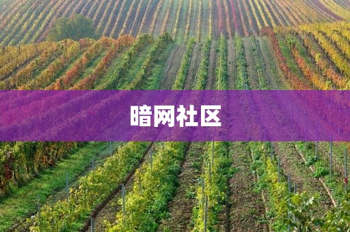 暗网社区