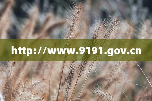 http://www.9191.gov.cn