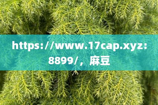 https://www.17cap.xyz:8899/，麻豆