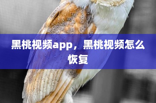 黑桃视频app，黑桃视频怎么恢复