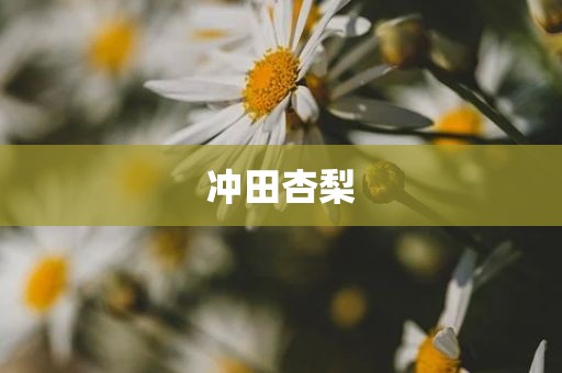 冲田杏梨