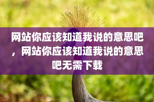 网站你应该知道我说的意思吧，网站你应该知道我说的意思吧无需下载