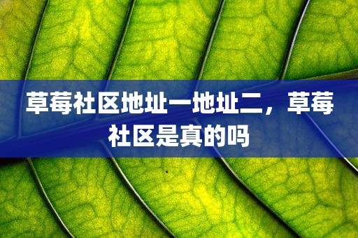 草莓社区地址一地址二，草莓社区是真的吗