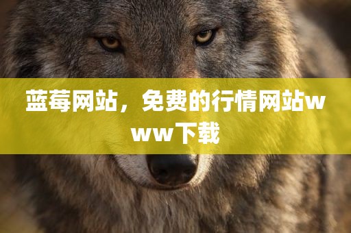 蓝莓网站，免费的行情网站www下载