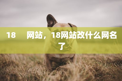 18     网站，18网站改什么网名了