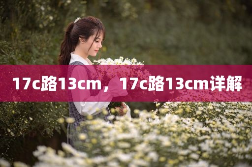 17c路13cm，17c路13cm详解