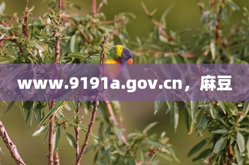 www.9191a.gov.cn，麻豆