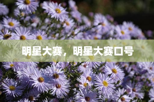 明星大赛，明星大赛口号