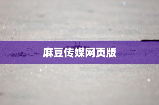 麻豆传媒网页版