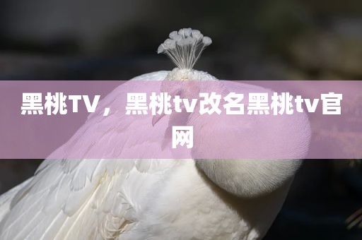黑桃TV，黑桃tv改名黑桃tv官网