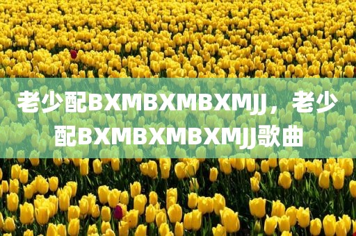 老少配BXMBXMBXMJJ，老少配BXMBXMBXMJJ歌曲