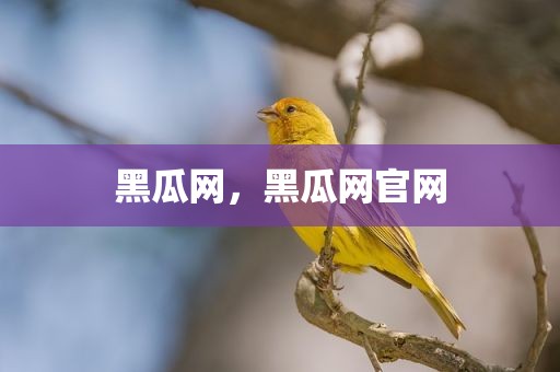 黑瓜网，黑瓜网官网