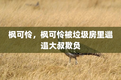 枫可怜，枫可怜被垃圾房里邋遢大叔欺负