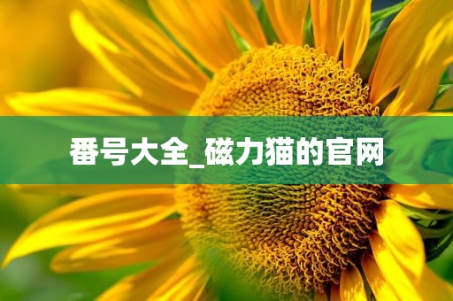 番号大全_磁力猫的官网