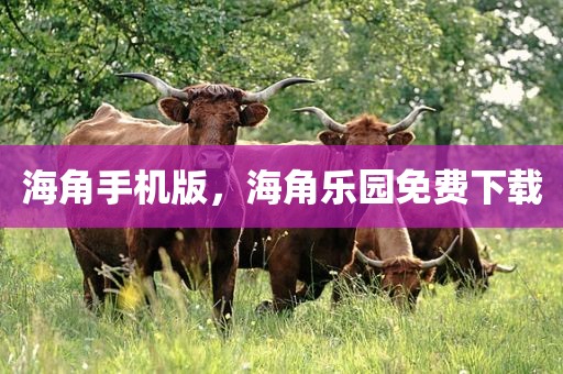 海角手机版，海角乐园免费下载