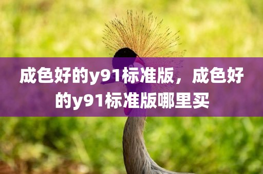 成色好的y91标准版，成色好的y91标准版哪里买