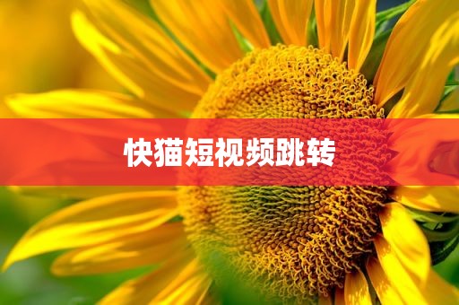 快猫短视频跳转
