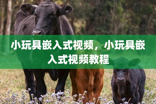 小玩具嵌入式视频，小玩具嵌入式视频教程