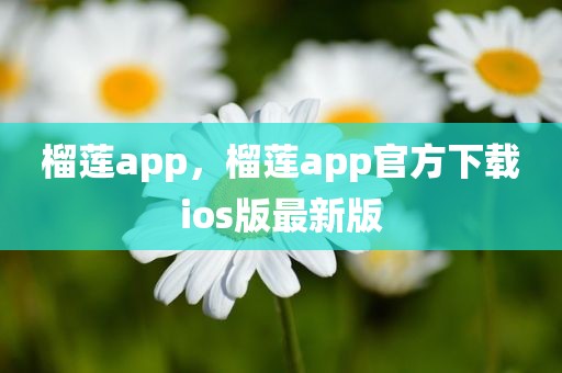 榴莲app，榴莲app官方下载ios版最新版