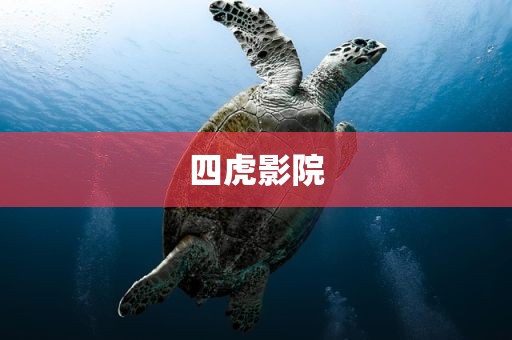 四虎影院