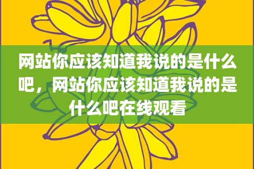 网站你应该知道我说的是什么吧，网站你应该知道我说的是什么吧在线观看