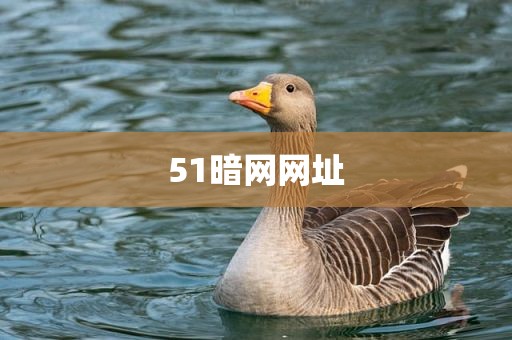51暗网网址