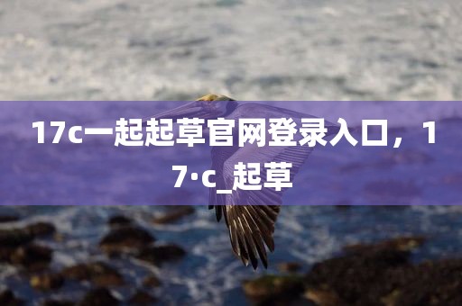 17c一起起草官网登录入口，17·c_起草