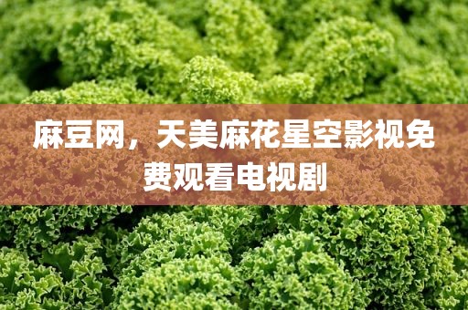 麻豆网，天美麻花星空影视免费观看电视剧