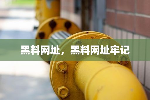 黑料网址，黑料网址牢记