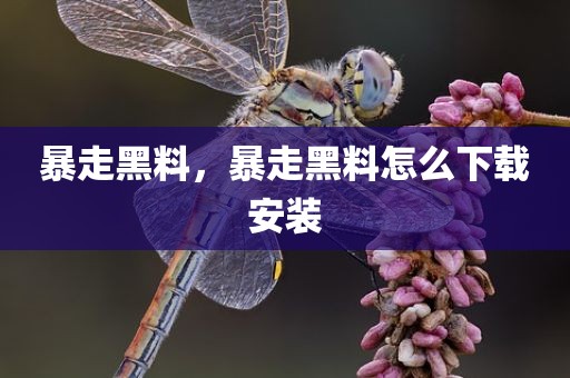 暴走黑料，暴走黑料怎么下载安装