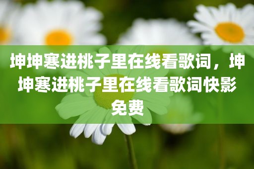 坤坤寒进桃子里在线看歌词，坤坤寒进桃子里在线看歌词快影免费