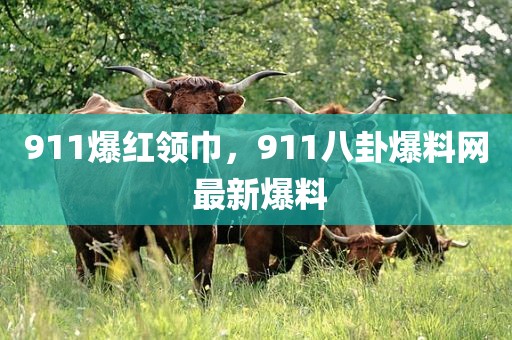 911爆红领巾，911八卦爆料网 最新爆料